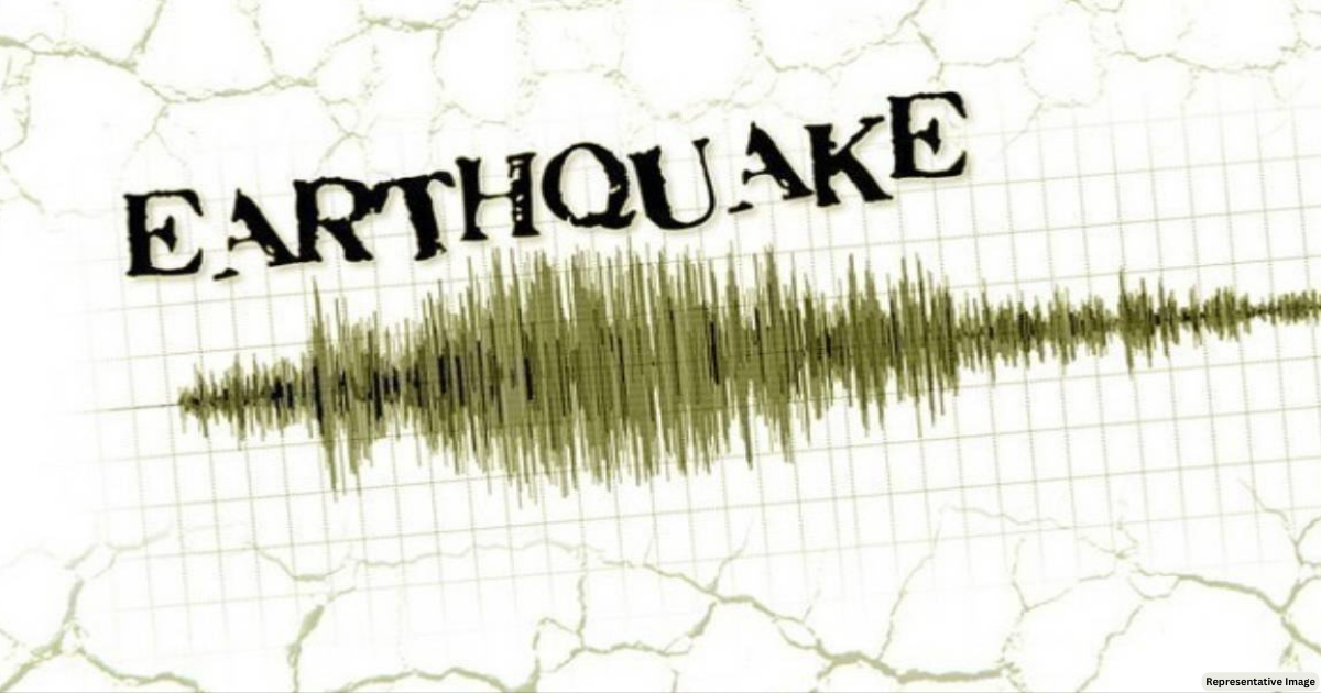 Earthquake of magnitude 4.5 hits Andaman and Nicobar Islands